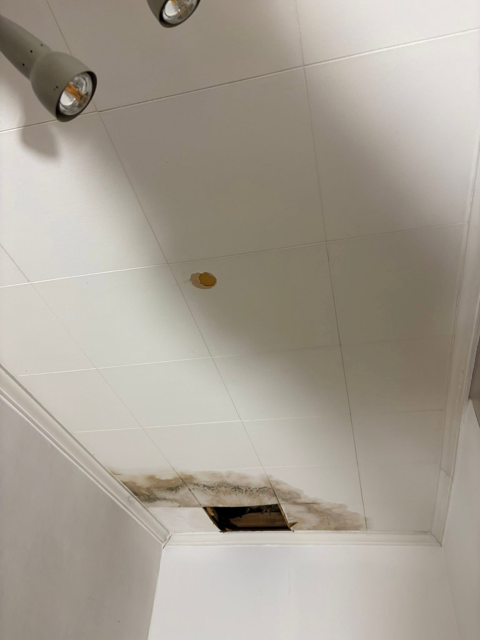 Plafondrenovatie na waterschade (voor)
